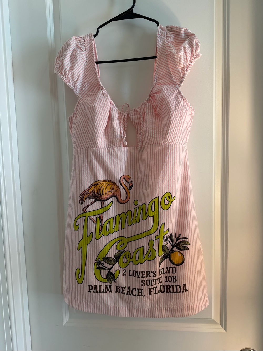 Anthropologie Celandine Flamingo Coast  Pink Striped Mini Dress